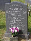 image of grave number 908968